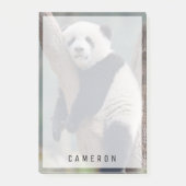 Niedliche Kleintiere | Baby Panda Bärenzucht Post-it Klebezettel (Vorderseite)