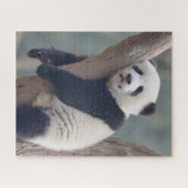 Niedliche Kleintiere | Baby Panda Bärenzucht Puzzle (Horizontal)