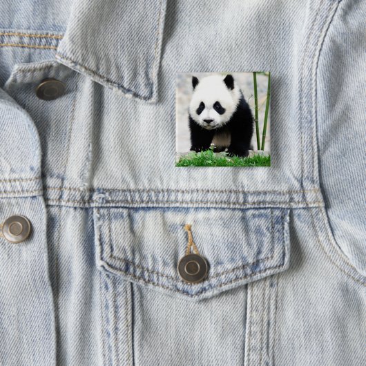 Niedliche Kleintiere | Baby Panda Bear Button (Beispiel)