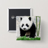 Niedliche Kleintiere | Baby Panda Bear Button (Vorne & Hinten)