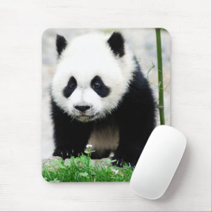 Niedliche Kleintiere Baby Panda Bear Mousepad