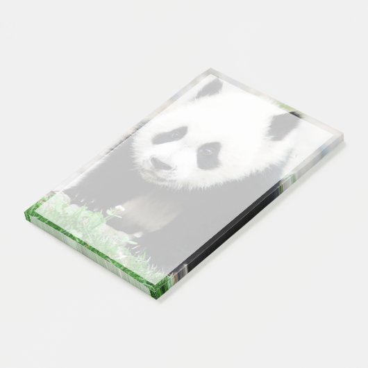Niedliche Kleintiere | Baby Panda Bear Post-it Klebezettel (angewinkelt)