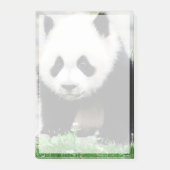 Niedliche Kleintiere | Baby Panda Bear Post-it Klebezettel (Vorderseite)