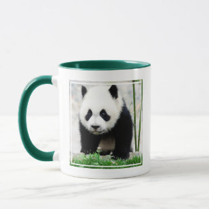 Niedliche Kleintiere   Baby Panda Bear Tasse