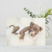 Niedliche Kleintiere | Baby Pit Bull Puppy Dankeskarte (Stehend Vorderseite)