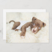 Niedliche Kleintiere | Baby Pit Bull Puppy Dankeskarte (Vorne/Hinten)