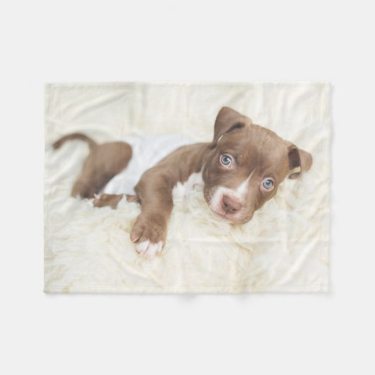 Niedliche Kleintiere | Baby Pit Bull Puppy Fleecedecke (Vorderseite (Horizontal))