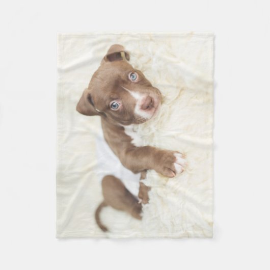 Niedliche Kleintiere | Baby Pit Bull Puppy Fleecedecke (Vorderseite)