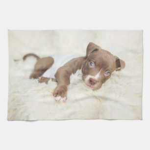 Niedliche Kleintiere Baby Pit Bull Puppy Geschirrtuch