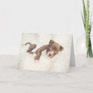 Niedliche Kleintiere Baby Pit Bull Puppy Karte