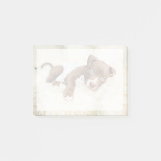 Niedliche Kleintiere | Baby Pit Bull Puppy Post-it Klebezettel (Vorderseite)