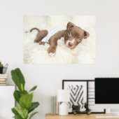 Niedliche Kleintiere | Baby Pit Bull Puppy Poster (Heimbüro)