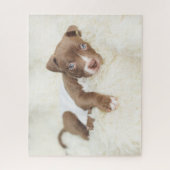Niedliche Kleintiere | Baby Pit Bull Puppy Puzzle (Vertikal)