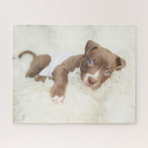 Niedliche Kleintiere   Baby Pit Bull Puppy Puzzle