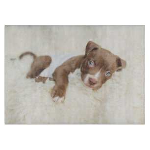 Niedliche Kleintiere   Baby Pit Bull Puppy Schneidebrett