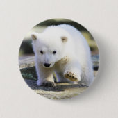 Niedliche Kleintiere | Baby Polar Bear Button (Vorderseite)