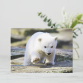 Niedliche Kleintiere | Baby Polar Bear Cube Dankeskarte (Stehend Vorderseite)