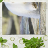 Niedliche Kleintiere | Baby Polar Bear Cube Geschirrtuch (Gefaltet)