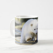 Niedliche Kleintiere | Baby Polar Bear Cube Kaffeetasse (Vorderseite Links)