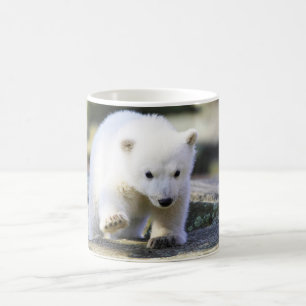 Niedliche Kleintiere Baby Polar Bear Cube Kaffeetasse