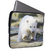 Niedliche Kleintiere | Baby Polar Bear Cube Laptopschutzhülle (Vorne Rechts)
