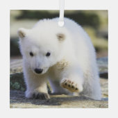 Niedliche Kleintiere | Baby Polar Bear Cube Ornament Aus Glas (Rückseite)