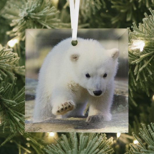 Niedliche Kleintiere | Baby Polar Bear Cube Ornament Aus Glas (Insitu)