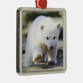 Niedliche Kleintiere | Baby Polar Bear Cube Ornament Aus Metall (Rechts)