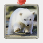 Niedliche Kleintiere | Baby Polar Bear Cube Ornament Aus Metall (Vorne)