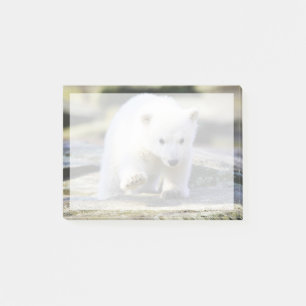 Niedliche Kleintiere Baby Polar Bear Cube Post-it Klebezettel