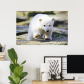 Niedliche Kleintiere | Baby Polar Bear Cube Poster (Heimbüro)