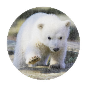 Niedliche Kleintiere   Baby Polar Bear Cube Schneidebrett