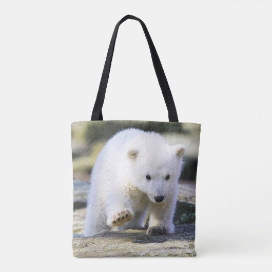 Niedliche Kleintiere | Baby Polar Bear Cube Tasche (Rückseite)