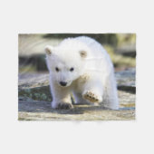Niedliche Kleintiere | Baby Polar Bear Fleecedecke (Vorderseite (Horizontal))