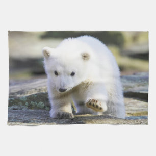 Niedliche Kleintiere Baby Polar Bear Geschirrtuch