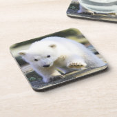 Niedliche Kleintiere | Baby Polar Bear Getränkeuntersetzer (Linke Seite)