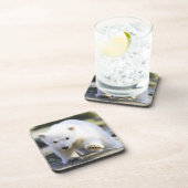 Niedliche Kleintiere | Baby Polar Bear Getränkeuntersetzer (Rechte Seite)