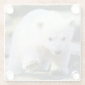 Niedliche Kleintiere | Baby Polar Bear Glasuntersetzer (Rückseite)