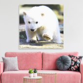 Niedliche Kleintiere | Baby Polar Bear Leinwanddruck (Insitu (Wohnzimmer))