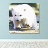 Niedliche Kleintiere | Baby Polar Bear Leinwanddruck (Insitu (Holzboden))