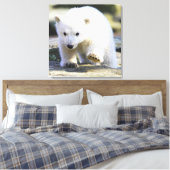 Niedliche Kleintiere | Baby Polar Bear Leinwanddruck (Insitu (Schlafzimmer))