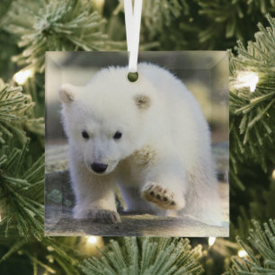 Niedliche Kleintiere   Baby Polar Bear Ornament Aus Glas