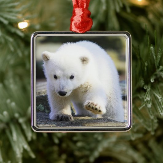 Niedliche Kleintiere | Baby Polar Bear Ornament Aus Metall (Baum)