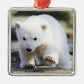Niedliche Kleintiere | Baby Polar Bear Ornament Aus Metall (Vorne)