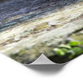 Niedliche Kleintiere | Baby Polar Bear Poster (Ecke)