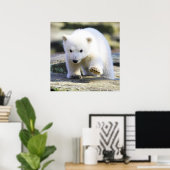 Niedliche Kleintiere | Baby Polar Bear Poster (Heimbüro)
