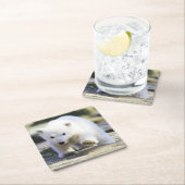 Niedliche Kleintiere | Baby Polar Bear Rechteckiger Pappuntersetzer (Vor Ort)