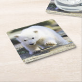 Niedliche Kleintiere | Baby Polar Bear Rechteckiger Pappuntersetzer (angewinkelt)