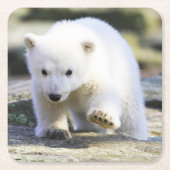 Niedliche Kleintiere | Baby Polar Bear Rechteckiger Pappuntersetzer (Vorderseite)