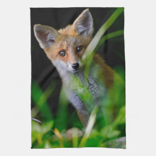 Niedliche Kleintiere   Baby Red Fox Geschirrtuch